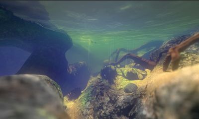 Feed and Grow: Fish Screenshot 1