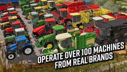 Farming Simulator 20 Screenshot 2