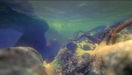 Feed and Grow: Fish Screenshot 1